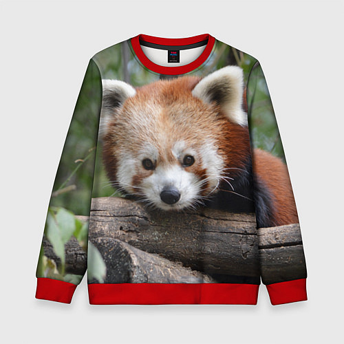 Детский свитшот Красная панда / 3D-Красный – фото 1