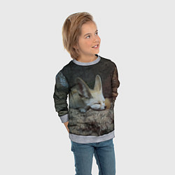 Свитшот детский Фенек, цвет: 3D-меланж — фото 2