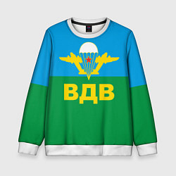 Свитшот детский ВДВ - символика, цвет: 3D-белый