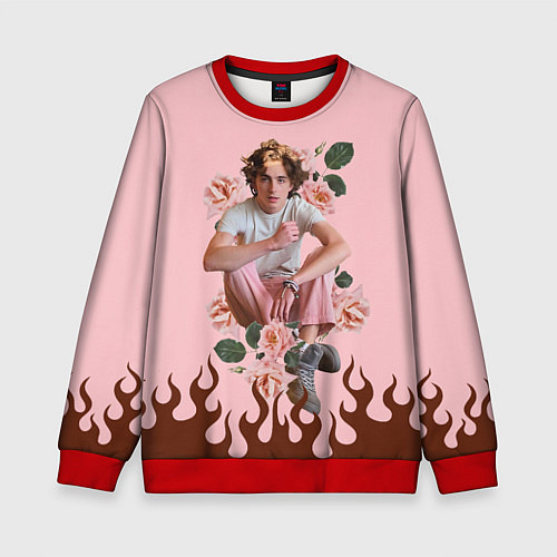 Детский свитшот Тимоти в огне / 3D-Красный – фото 1
