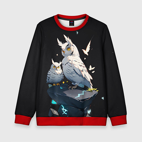 Детский свитшот Филины и магия / 3D-Красный – фото 1