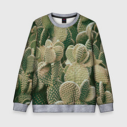 Детский свитшот Поле кактусов