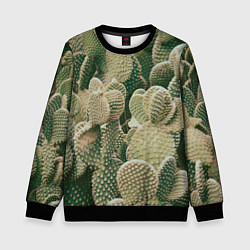 Детский свитшот Поле кактусов