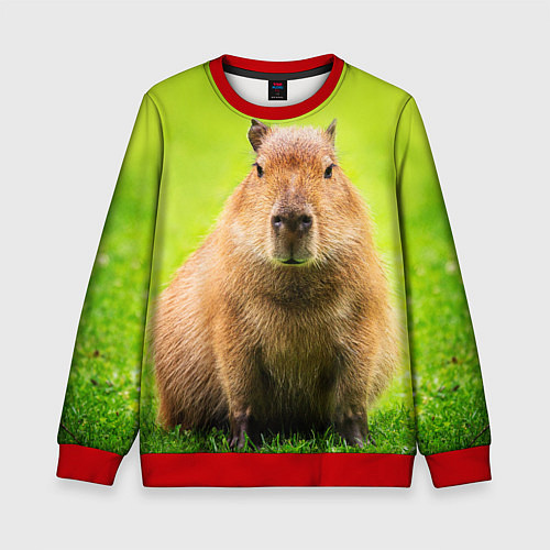 Детский свитшот Capybara on green grass / 3D-Красный – фото 1