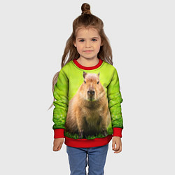 Свитшот детский Capybara on green grass, цвет: 3D-красный — фото 2