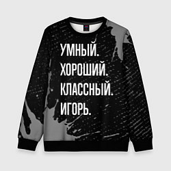 Свитшот детский Умный хороший классный: Игорь, цвет: 3D-черный