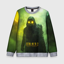 Свитшот детский Stalker 2 ядовитый дым, цвет: 3D-меланж
