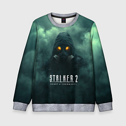 Свитшот детский Stalker в тумане, цвет: 3D-меланж