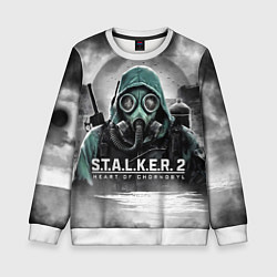 Свитшот детский Stalker 2 heart of Chornobyl radiation, цвет: 3D-белый