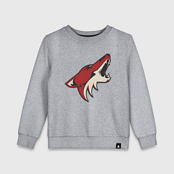 Свитшот хлопковый детский Phoenix Coyotes, цвет: меланж