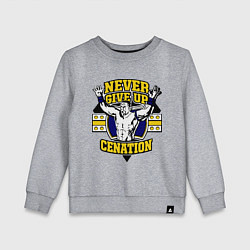 Свитшот хлопковый детский Never Give Up: Cenation, цвет: меланж