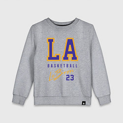 Свитшот хлопковый детский Lebron 23: Los Angeles, цвет: меланж