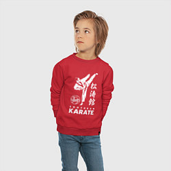 Свитшот хлопковый детский Шотокан Каратэ, цвет: красный — фото 2