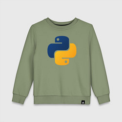 Детский свитшот Python
