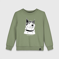 Свитшот хлопковый детский Курьер - Шарик, цвет: авокадо