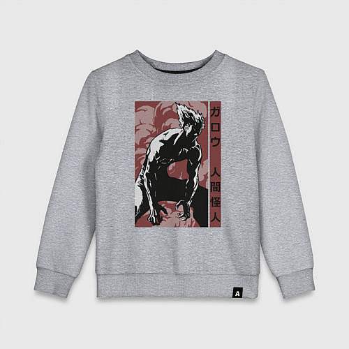 Детский свитшот Garou / Меланж – фото 1