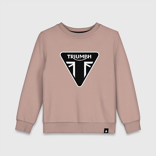 Детский свитшот Triumph Мото Лого Z / Пыльно-розовый – фото 1