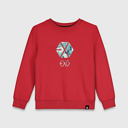 Свитшот хлопковый детский EXO, цвет: красный