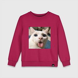 Свитшот хлопковый детский Мем про кота, цвет: маджента