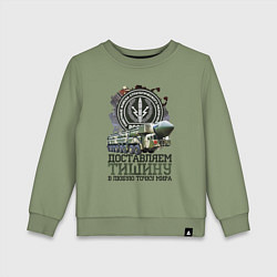 Свитшот хлопковый детский Доставляем тишину, цвет: авокадо