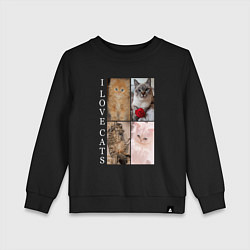 Свитшот хлопковый детский I LOVE CATS Я ЛЮБЛЮ КОШЕК, цвет: черный
