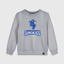 Свитшот хлопковый детский Tennessee smokies - baseball team, цвет: меланж