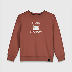 Свитшот хлопковый детский I hate monday текст с котом, цвет: кирпичный