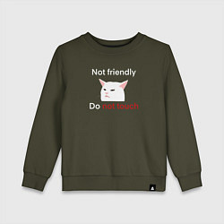 Свитшот хлопковый детский Not friendly, do not touch, текст с мемным котом, цвет: хаки
