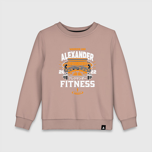 Детский свитшот АЛЕКСАНДР ЖЕЛЕЗНЫЙ КУЛАК ELDEN RING / Пыльно-розовый – фото 1