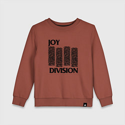 Свитшот хлопковый детский Joy Division - rock, цвет: кирпичный