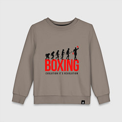 Детский свитшот Boxing evolution