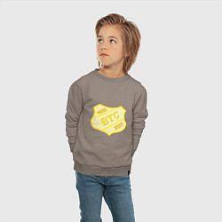 Свитшот хлопковый детский Bitcoin 2023, цвет: утренний латте — фото 2