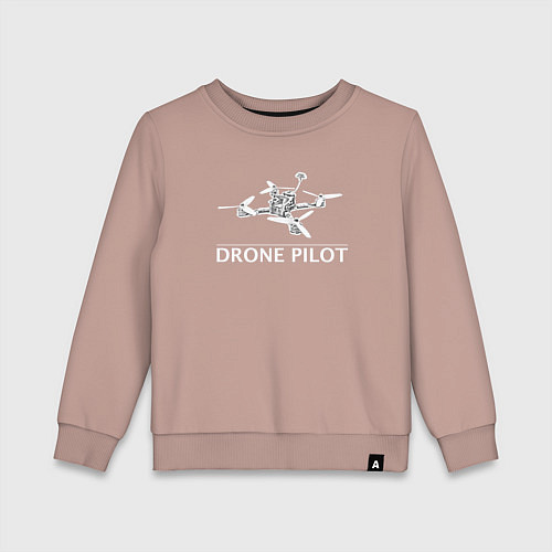 Детский свитшот Drones pilot / Пыльно-розовый – фото 1