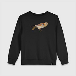 Свитшот хлопковый детский Сокол птица, цвет: черный