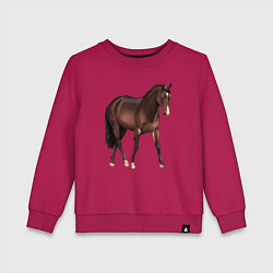 Свитшот хлопковый детский Австралийская пастушья лошадь, цвет: маджента