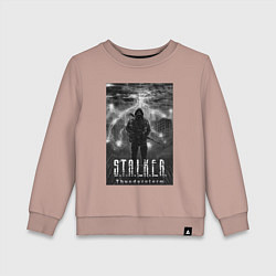 Свитшот хлопковый детский Stalker thunderstorm, цвет: пыльно-розовый