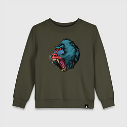 Свитшот хлопковый детский Mandrill monkey, цвет: хаки