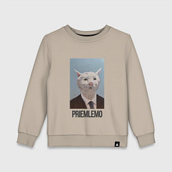 Детский свитшот Приемлемо - кот мем в живописи