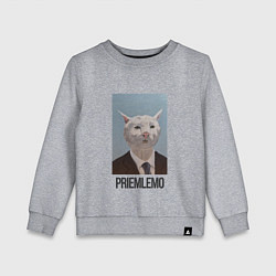 Свитшот хлопковый детский Приемлемо - кот мем в живописи, цвет: меланж