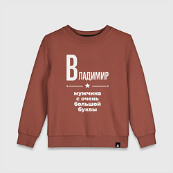 Свитшот хлопковый детский Владимир мужчина с очень большой буквы, цвет: кирпичный