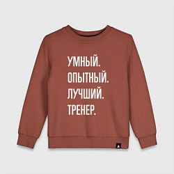 Свитшот хлопковый детский Умный опытный лучший тренер, цвет: кирпичный