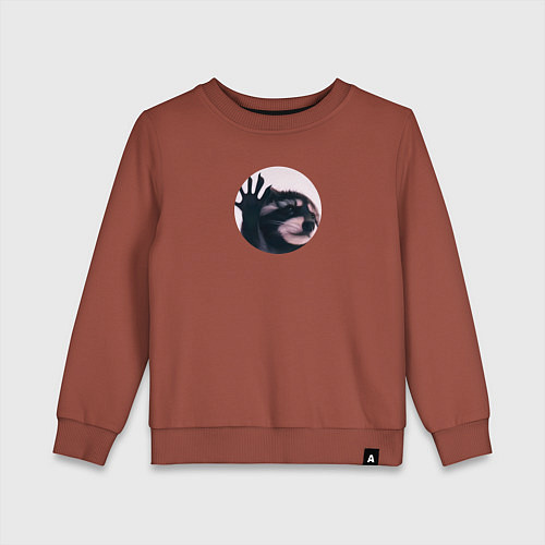 Детский свитшот Енот pedro pe / Кирпичный – фото 1