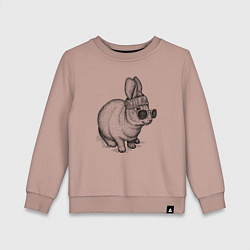 Свитшот хлопковый детский Стильный зайчишка, цвет: пыльно-розовый