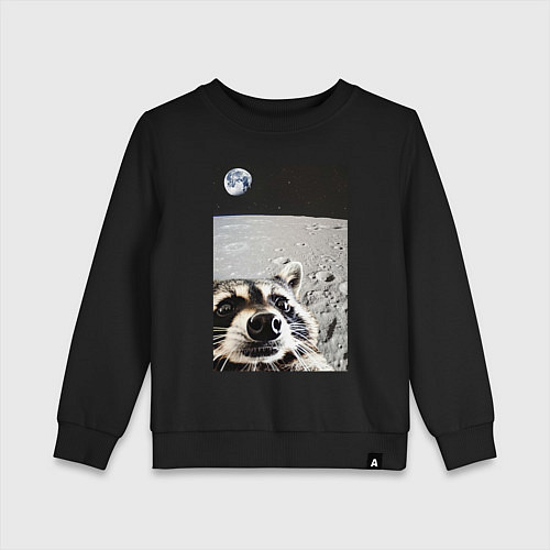 Детский свитшот Енот на луне делает селфи / Черный – фото 1