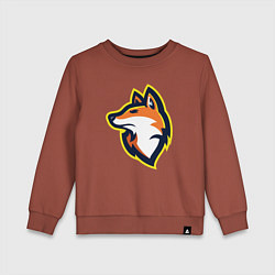 Свитшот хлопковый детский Fox team, цвет: кирпичный