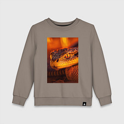 Свитшот хлопковый детский Огненная змея, цвет: утренний латте