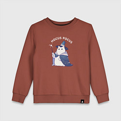 Свитшот хлопковый детский Волшебник кот фокус-покус, цвет: кирпичный