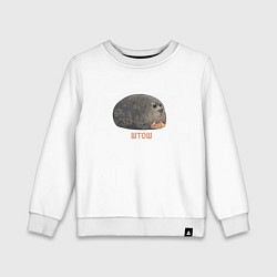 Свитшот хлопковый детский Милый толстый тюлень из мема штош, цвет: белый