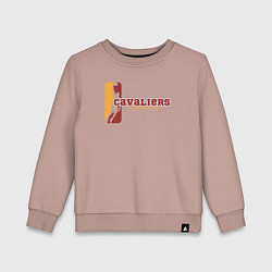 Свитшот хлопковый детский Cavaliers baller, цвет: пыльно-розовый