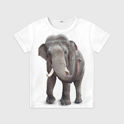 Футболка детская Большой слон, цвет: 3D-принт